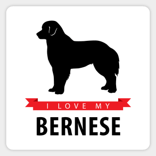 I Love My Bernese Mountain Dog Sticker